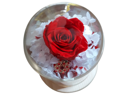 Passion Red Preserved Rose that will last for 2 years Glass Dome with LED light with brooch in shiny Rhinestones
